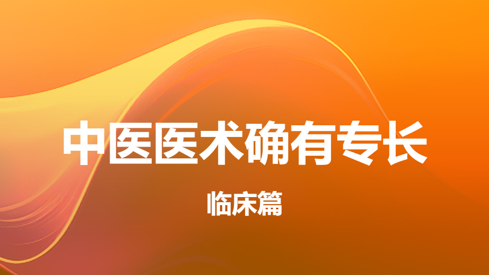 2026中医医术确有专长临床篇（肺系疾病）