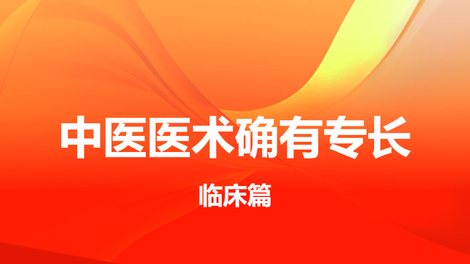 2026中医医术确有专长临床篇-肛门直肠疾病